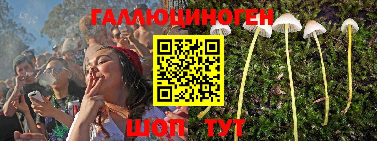 Псилоцибиновые грибы Psilocybine cubensis  Вход с VPN  Касимов 